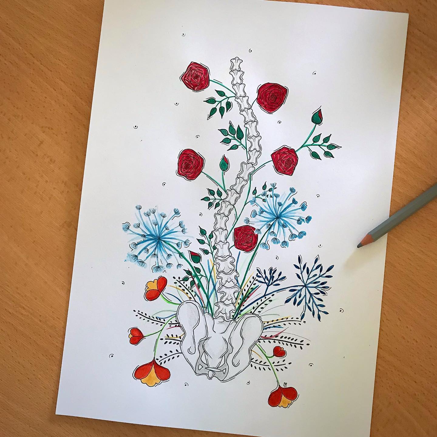 Dessin scoliose fleurie Marion Tiraboschi